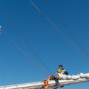 Baptiste-The Tall Ship Race - les vieux grééments-03 août 2018-0148